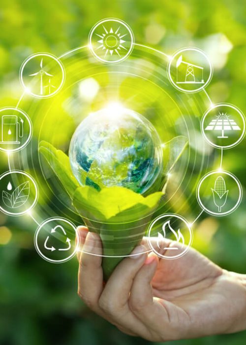 Environmental-Awareness-Month-September